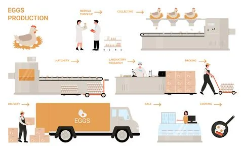 Egg process production in chicken factory, food industry Stock Illustration
