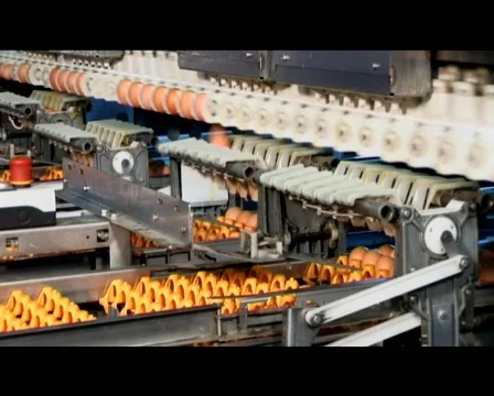 Egg Processing Plant 스톡 동영상 509414