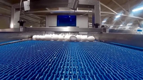 Egg production in a modern factory Stock Footage 72395076