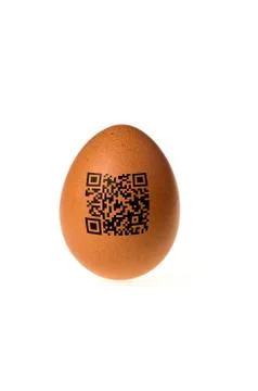 Egg with qr code 스톡 사진