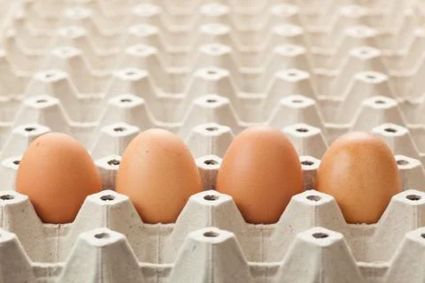 Egg rag. Egg cartons packing. on white background Stock Photos
