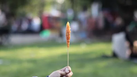 Egg rolls Stock Photos