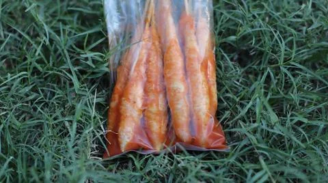 Egg rolls Stock Photos