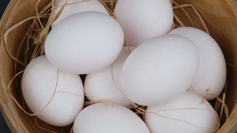 Egg rotate Stock Footage 236685345