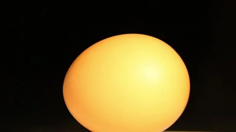 The egg rotates on a black background. Chicken egg is healthy and delicious food Stock Footage 168577623