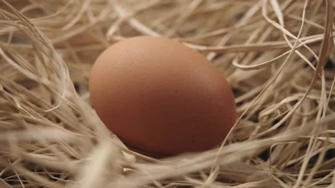 Egg rotates in straw. Close-up of a fresh, organic and healthy chicken egg. Stockbeeldmateriaal 181160858