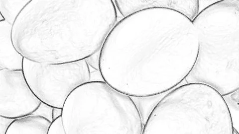 Egg salts Stock Illustration