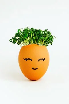 An egg with seedlings inside. A cute face is painted on the shell. Concepts o Fotos Stock