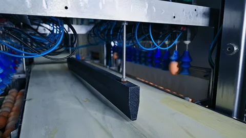Egg selection on egg production factory. Industrial equipment for sorting eggs.  Stock Footage 158839125