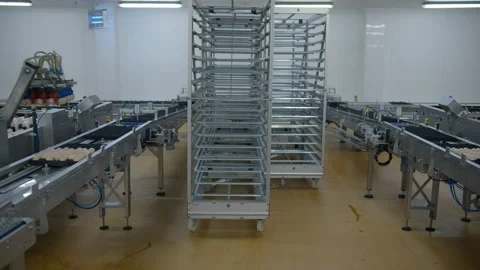 Egg selection, egg production factory Stock Footage 230500218
