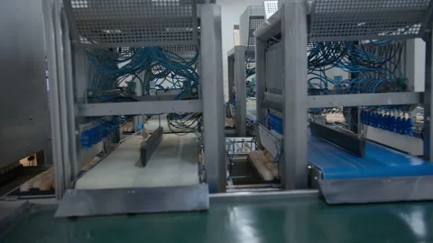 Egg selection, egg production factory Stock Footage 230502100
