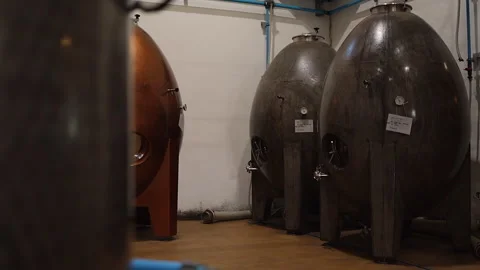 Egg-shaped fermentation tanks in winery allow control over production Stock Footage 343349497