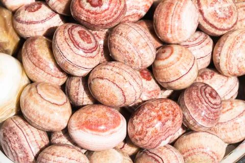 Egg shaped rocks Stock Photos