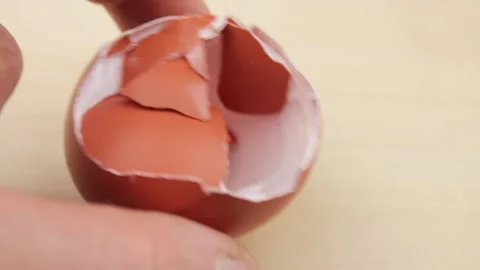 Egg shell. Broken egg shell. Crush the egg shell. Stock Footage 172460426