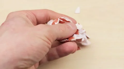 Egg shell. Broken egg shell. Crush the egg shell. Stock Footage 172460462