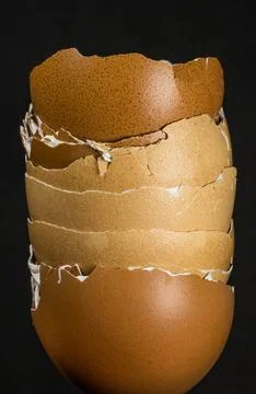 Egg shell close-up and dark background Stock Photos