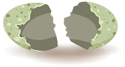 Egg shell cracking on white background Stock Illustration