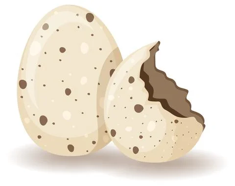 Egg shell cracking on white background Stock Illustration