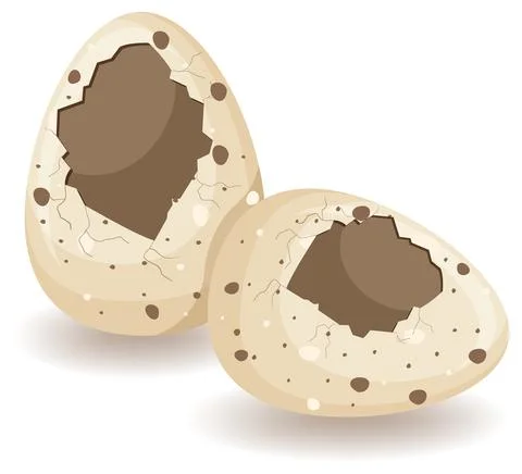 Egg shell cracking on white background Stock Illustration