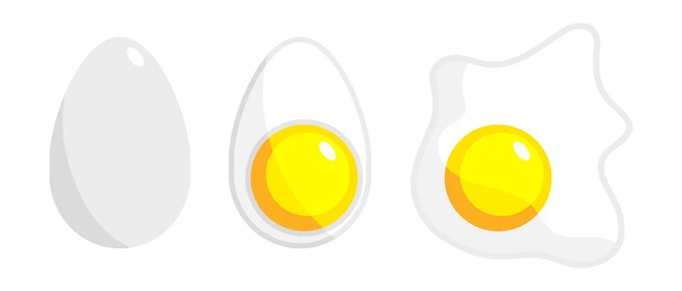 Egg in shell. An egg cut in half. Fried eggs. Chicken egg illustration. Vector Stock Illustration