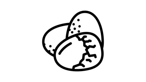 Egg shell food hen line icon animation Stock Footage 326761603
