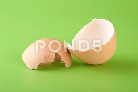 Egg shell on a green background Stock Photos