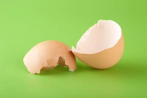 Egg shell on a green background Stock Photos