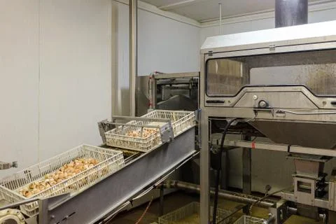 Egg shell grinding equipment and emptying boxes Stock Photos