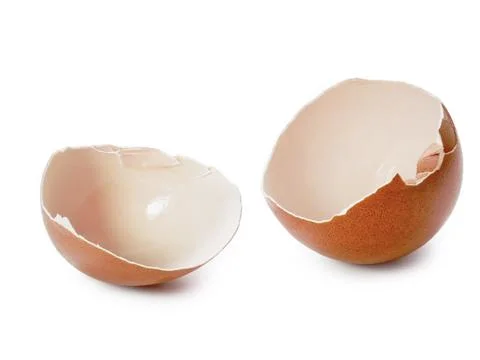 Egg shell has broken cracked. Chicken Eggshell brown isolated on white Stock Photos
