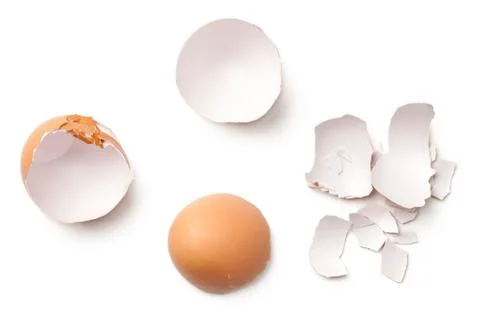 Egg Shell Isolated on White Background Stock Photos
