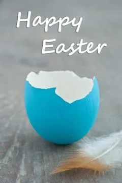 Egg shell Foto stock