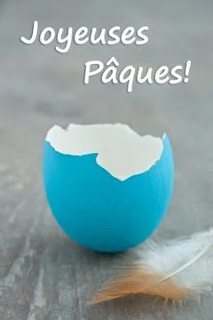 Egg shell Stock Photos