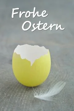 Egg shell Stock Photos