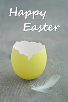 Egg shell Foto stock