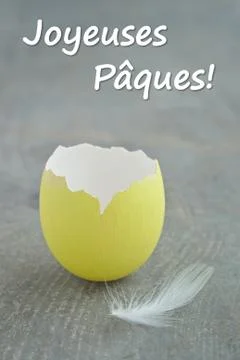 Egg shell Stock Photos