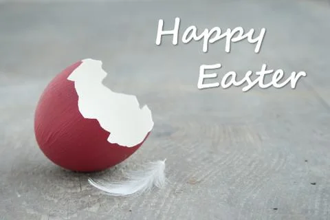 Egg shell Stock Photos