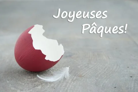 Egg shell Stock Photos