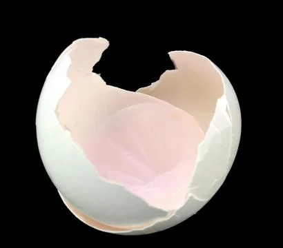 Egg shell Stock Photos