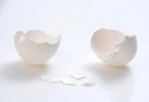 Egg shell Stock Photos