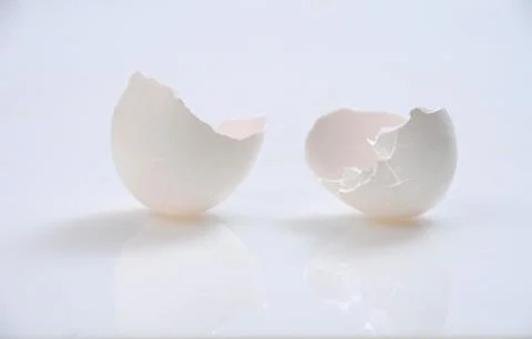Egg shell Stock Photos