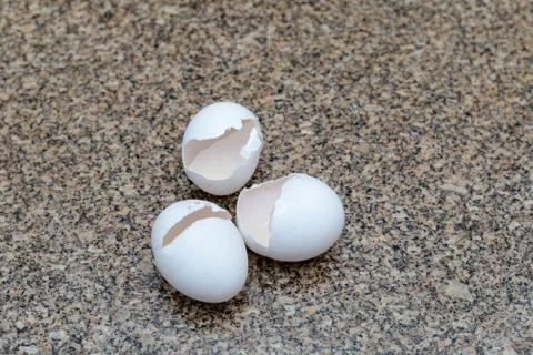 Egg shell Stock Photos