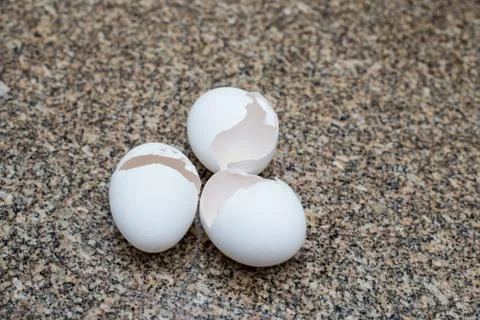 Egg shell Stock Photos