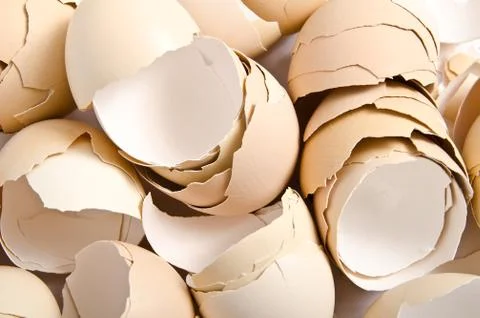 Egg shell Stock Photos