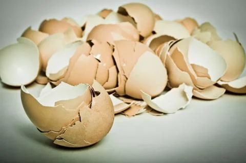 Egg shell Stock Photos
