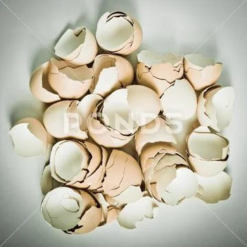 Egg shell Stock-Fotos