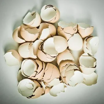 Egg shell Stock Photos