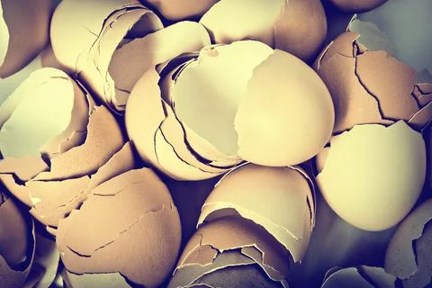 Egg shell Stock Photos