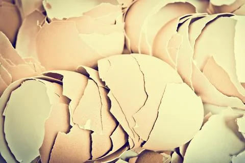 Egg shell Stock Photos