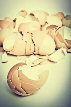 Egg shell Stock Photos
