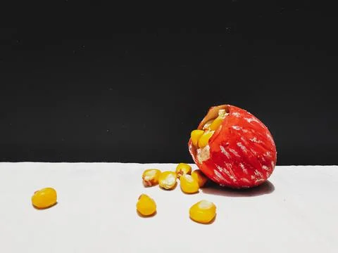 Egg shell Stock Photos